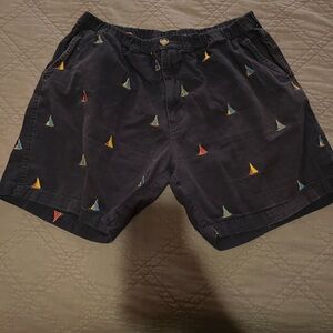 Chubbies Casual Shorts